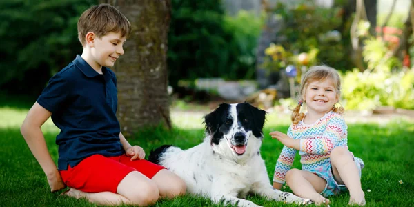 brother and sister playing outside with dog in tick free lawn