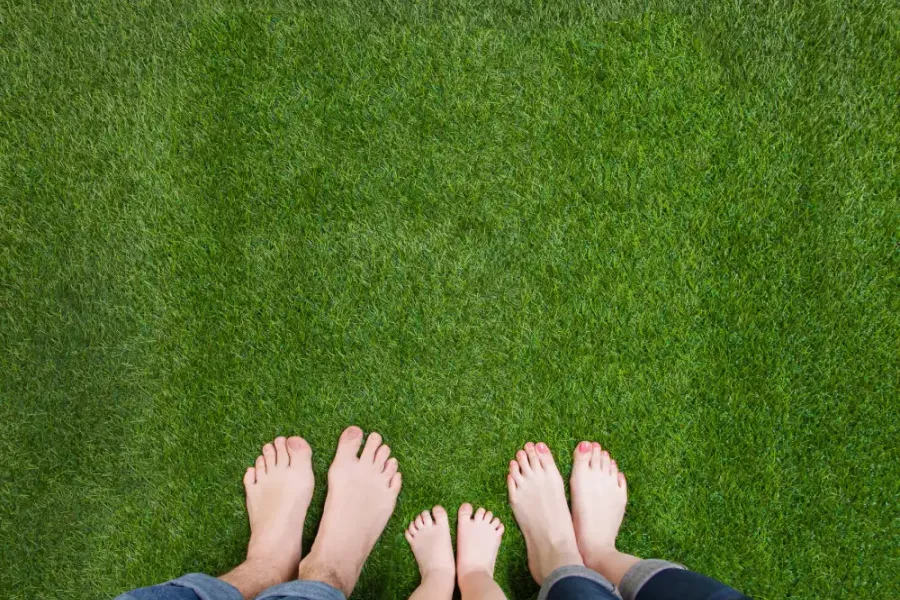 feet-on-lawn