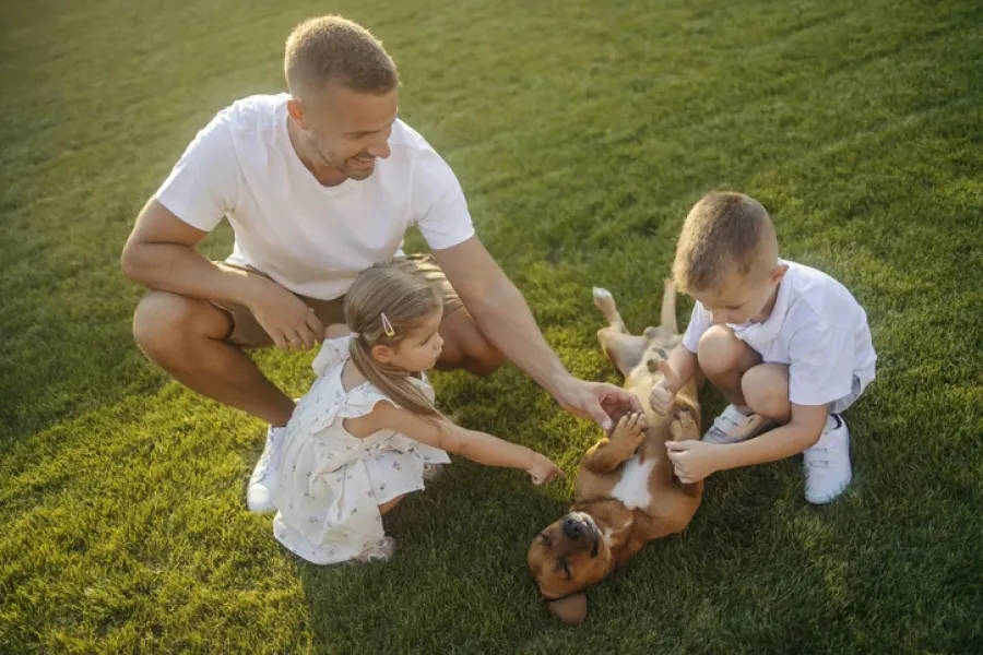 Family-playing-with-dog-lawn