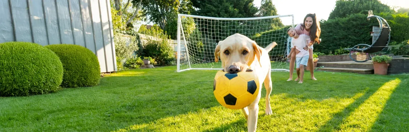 boy-playing-outside-with-mom-and-dog