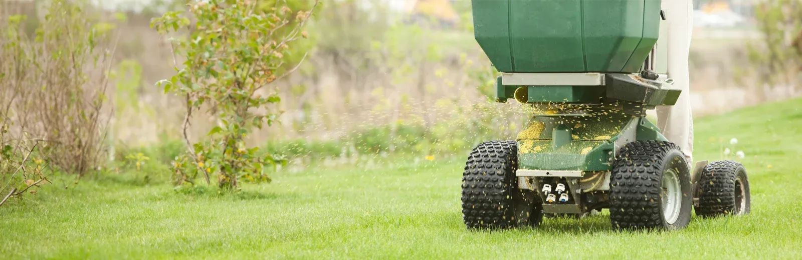 fertilizing-lawn-service