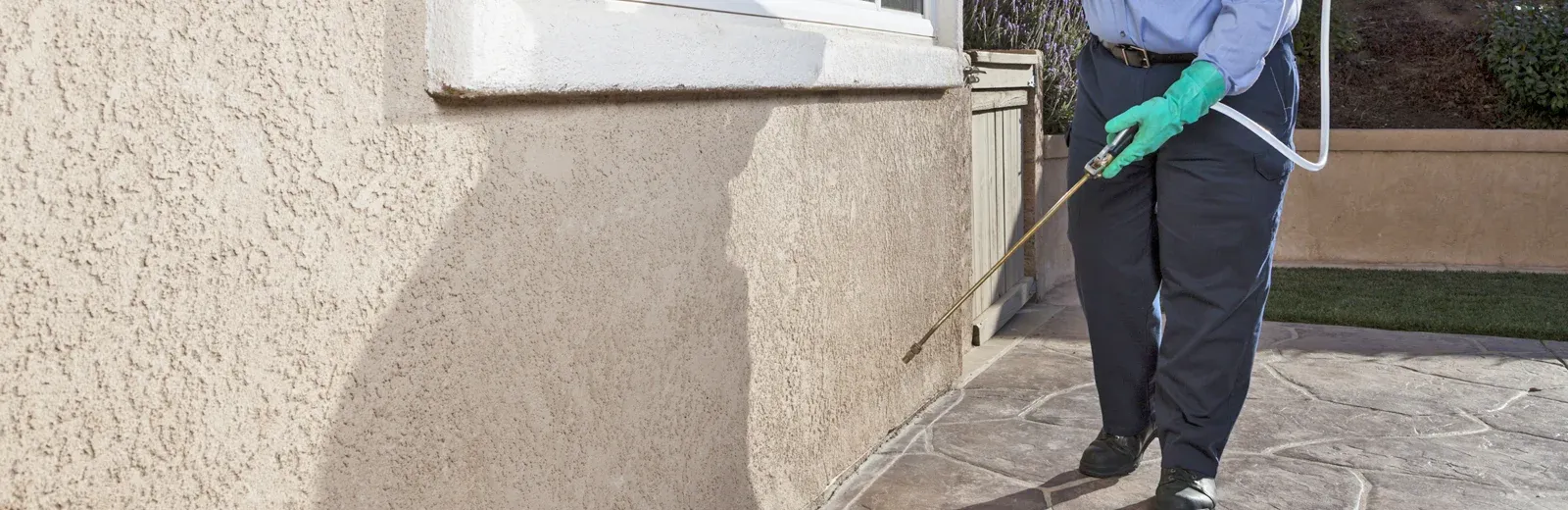 spraying exterior of home