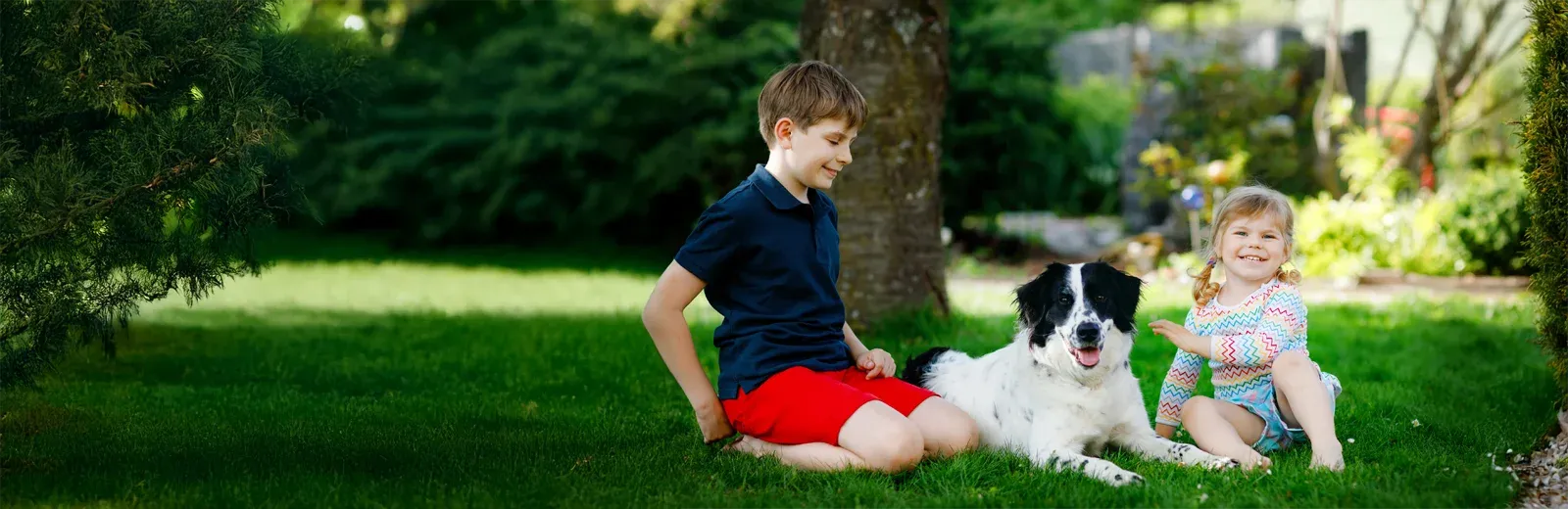 brother and sister playing outside with dog in tick free lawn