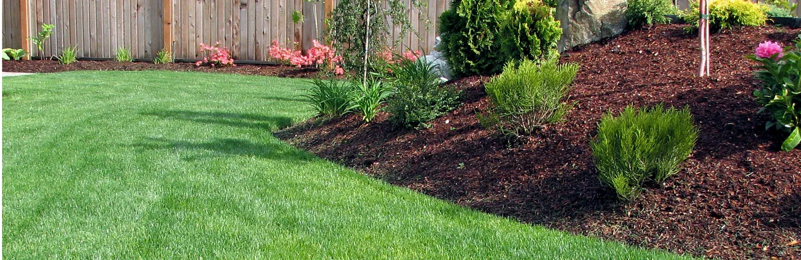 trees and shrubs
