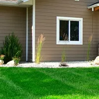 lawn