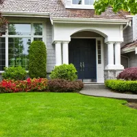 lawn