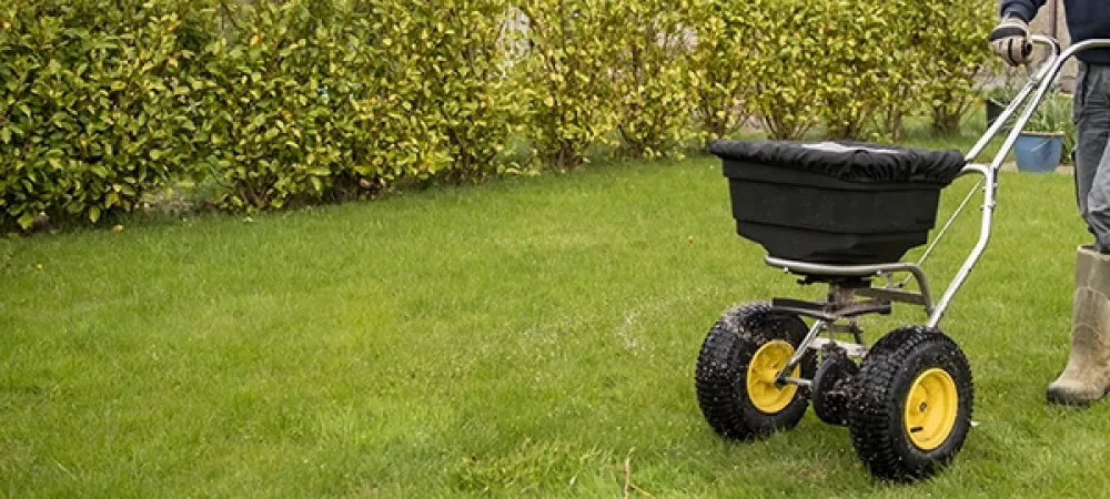 fertilizer