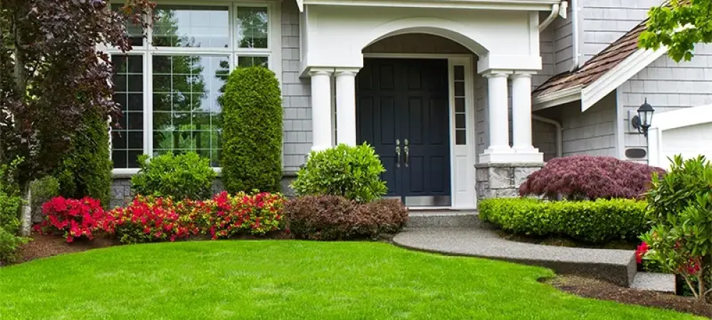 lawn