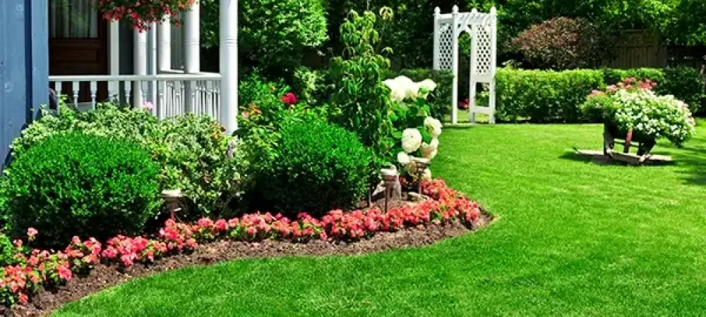 landscaping