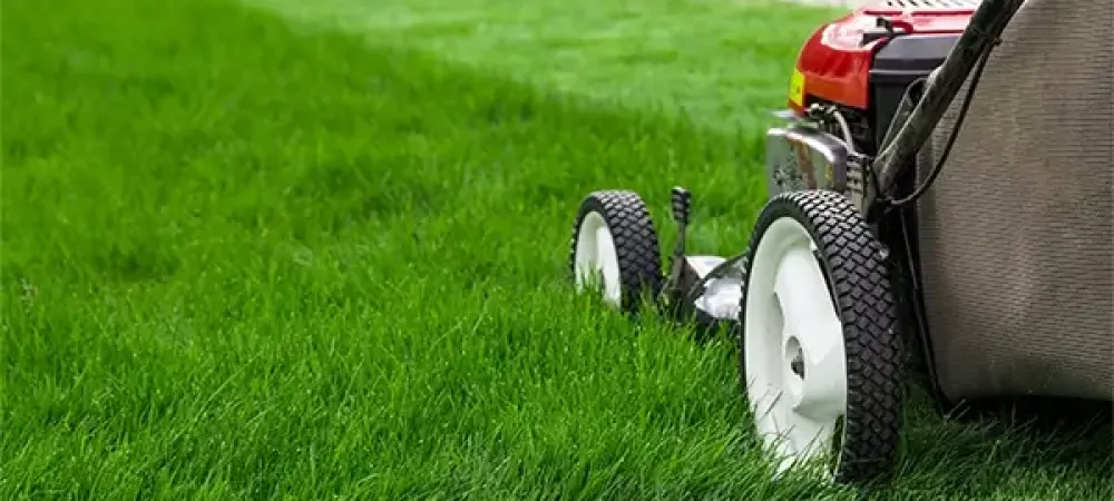 mowing