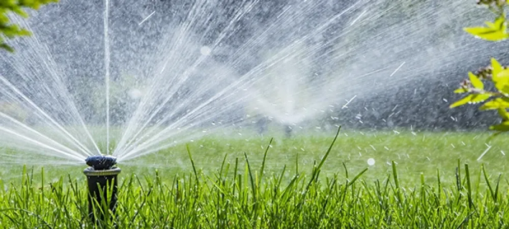 sprinkler