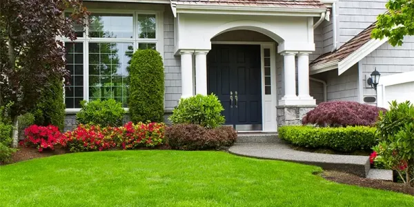 lawn