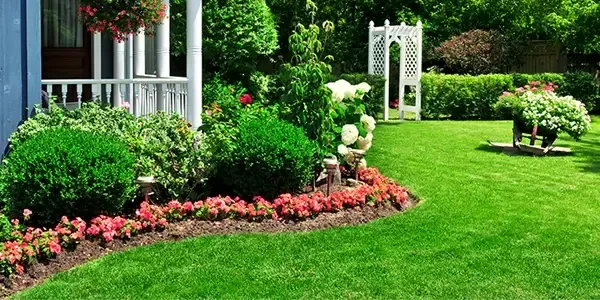 landscaping