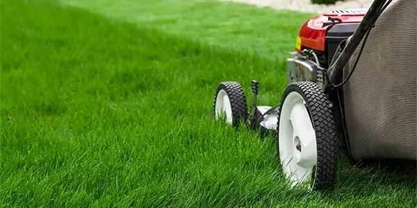 mowing